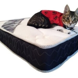 Colchón Para Mascotas 60x40x12 Stc